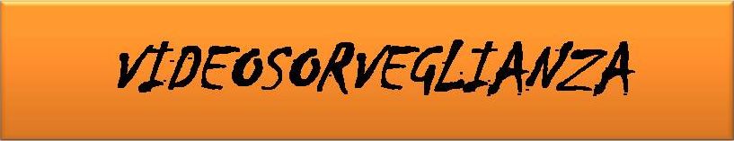 VIDEOSORVEGLIANZA